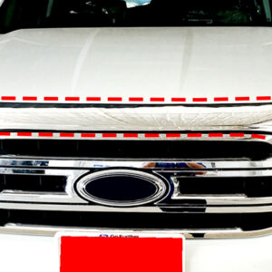 01 Bug guard trim : 2015