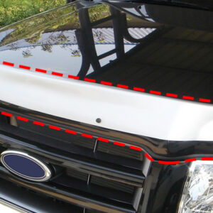 01 Bug Shield Guard (Big Size) : 2006