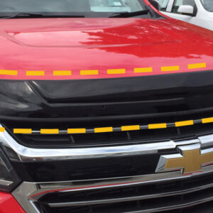 01 Bug Shield Guard : 2016