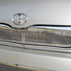 กระจังหน้า V.1